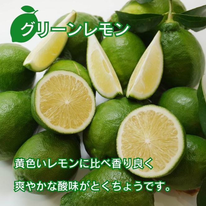 訳あり レモン （ グリーンレモン ） 1kg りのか 【発送期間:8月中旬～】 レモン 減農薬 柑橘 檸檬 くだもの 果実 国産 愛媛 みかん職人武田屋 ブランド 愛媛県産 産直 無添加