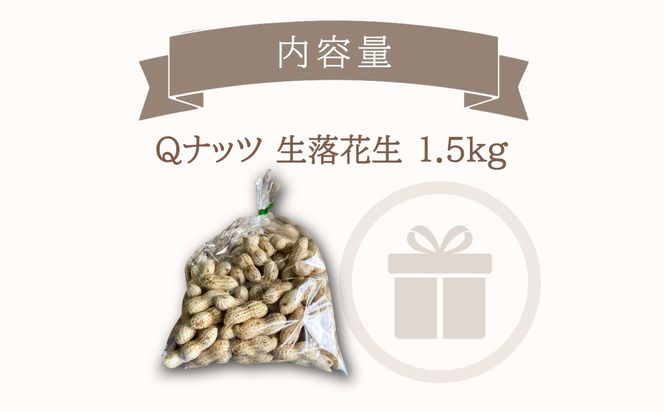【先行受付・9月中旬より順次発送！】Qナッツ 生落花生 1.5kg SMAH014