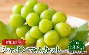 ぶどう 【2026年 先行予約】 シャインマスカット 6房 合計3.6kg以上 マスカット ブドウ 葡萄 岡山県産 国産 フルーツ 果物 ギフト