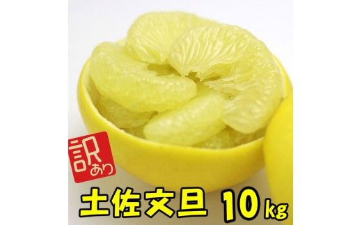 ＜土佐市産＞土佐文旦 訳あり 約10kg（3L～Lいずれかのサイズ）白木果樹園 返礼品 高知県 土佐市