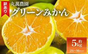グリーンみかん(2S～Mサイズ) 5kg 家庭用 【2026年出荷分】丸萬農園 mn-0016