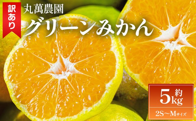 グリーンみかん(2S～Mサイズ) 5kg 家庭用 【2026年出荷分】丸萬農園 mn-0016