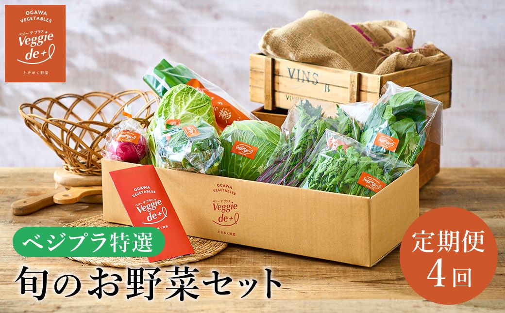 旬の新鮮なお野菜を産地直送!ベジプラ特選 旬の野菜セット[定期便:4回 春(5月)・夏(7月)・秋(11月)・冬(1月) ] / 野菜 詰め合わせ セット 野菜セット 新鮮 ギフト やさい 苦みが少ない 甘みが強い Veggie de+[野菜例:キャベツ 水菜 ミニトマト レタス とろり葱 ほうれん草等]