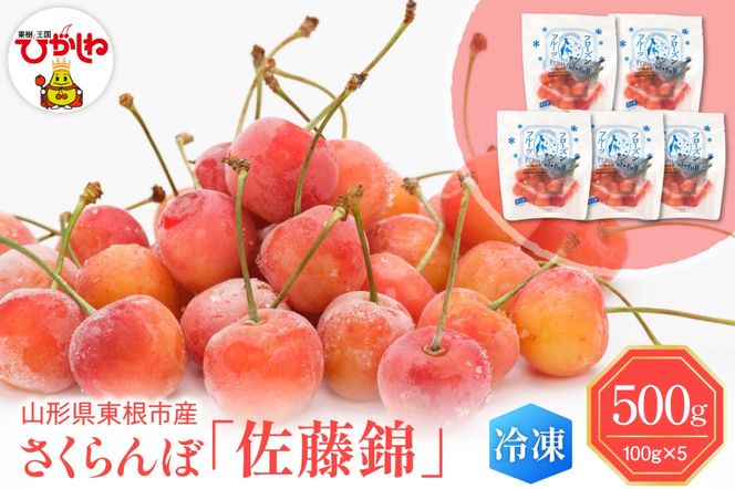 yR`szyuԗⓀzsY 100g×5 _YZ^[ hi027-244