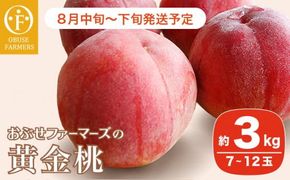 黄金桃 約3kg 7～12玉 ［おぶせファーマーズ］桃 もも モモ フルーツ 果物 クール便 冷蔵便 長野県産 信州産  令和8年産【2026年8月中旬～下旬発送】