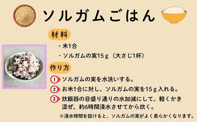 【先行予約】飯山産ソルガム 500ｇ 1袋 《出荷時期：2026年12月中旬頃〜》（Cn-001）