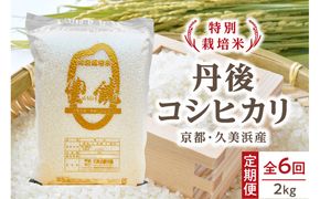 【6回定期便】【特別栽培米】コシヒカリ『豊饒』 2kg （真空パック）（2026年10月上旬～発送） 久美浜観光園 特別栽培米 こしひかり コシヒカリ お米 米 京丹後産 京丹後 丹後　KO00040