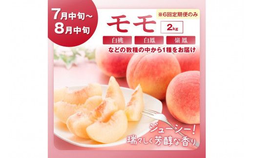 【先行予約／フルーツ定期便6回】旬の果物厳選！京丹後フルーツ王国満足セット（完熟イチゴ・小玉スイカ・桃・メロン・完熟ブドウ＆シャインマスカット食べ比べ・二十世紀梨）（2026年2月中旬～発送）　YK00518