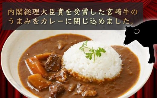 【お試し♪】トプカ☆宮崎牛カレー2食セット※ポスト投函_LA-J902-PF_(都城市) カレー専門店 手づくり 宮崎牛 ビーフカレー ポスト投函