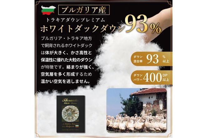 yRBszHѕzc |zc zCg_bN_E93 y_uz 1.7kg uKAY 60ԎTe n [쑺H R Bs 20743240] zc ӂƂ H Hъ|zc Q CS[h 400dp [ܕt { Y R hL