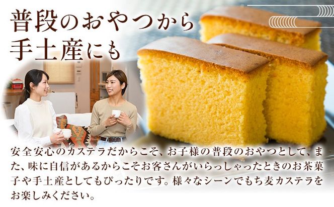 もち麦カステラ 1本 株式会社玉利軒《30日以内に出荷予定(土日祝除く)》岡山県 笠岡市 カステラ もち麦 お土産 和菓子 手土産 送料無料 冷蔵配送---T-37_cool---