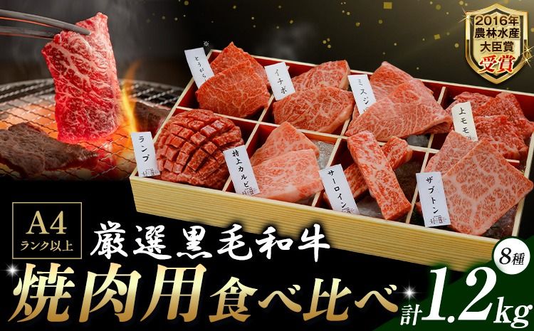 厳選 くまもと黒毛和牛 焼肉用食べ比べ8種 1.2kg [45日以内に出荷予定(土日祝除く)]熊本県 大津町 くまもと黒毛和牛 和牛焼肉LIEBE 厳選部位 希少部位 特上カルビ サーロイン ザブトン 上モモ ランプ イチボ ミスジ 冷蔵 リーベ ---so_cliebey8sy_45d_r7_50000_1200g---