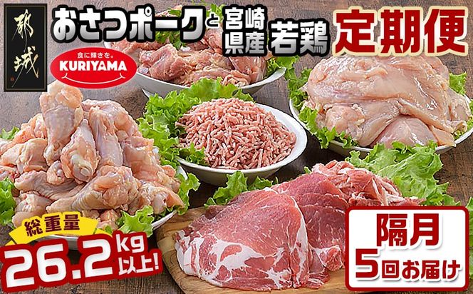 y{茧sszeʁIu5񂨓͂Iu|[NvƋ{茧Y{_T85i5j-1403_(ss) u 5񂨓͂ |[N ؓ Y{ { Ɩp 5kgȏ Ⓚ IRm[T