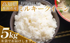 【令和8年8月下旬発送】特別栽培米 ミルキークイーン ５ｋｇ 高知県香南市産 sr-0002