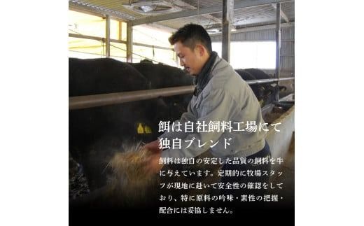 山梨県産 富士山麓牛 ロース・ヒレステーキ 800g ステーキ 焼肉 精肉 国産 富士山麓牛 冷凍 送料無料 山梨 富士吉田
