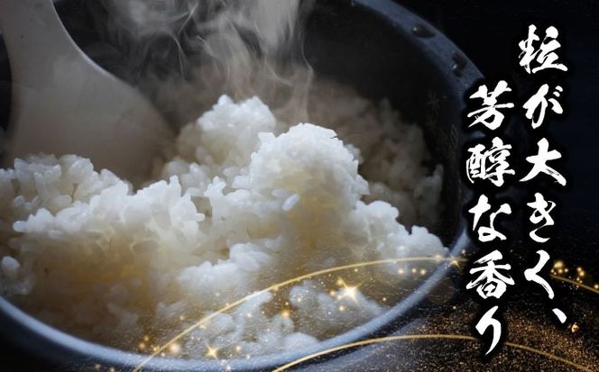 【6回定期便】あいちのかおり 白米 10kg×6か月 / 脇野コンバイン[AECP008]