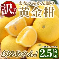 ＜先行予約受付中！2027年2月上旬以降順次発送予定＞訳あり！まなべみかん園の黄金柑(約2.5kg) 国産 鹿児島県産 阿久根市産 柑橘類 果物 フルーツ みかん ミカン 蜜柑 期間限定 数量限定 デザート ご家庭用 【有限会社まなべみかん園】akn034-10