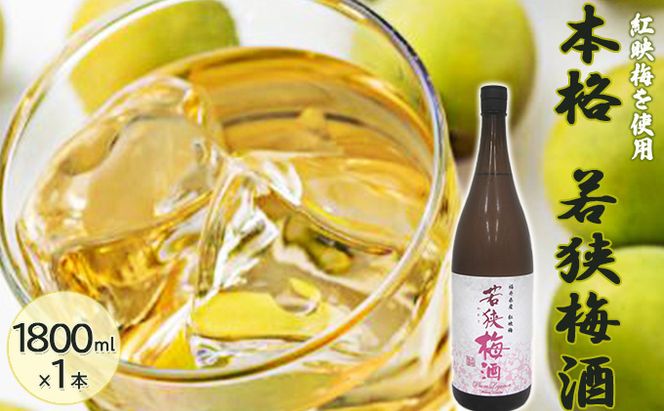 福井県産 紅映梅を使用した本格梅酒 若狭梅酒（1800ml）1本　 お酒 洋酒 リキュール リキュール類 