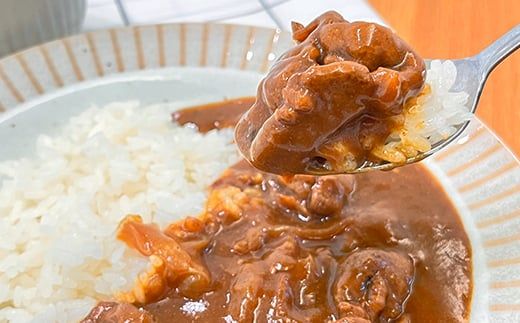 FK7-0238_馬小間スライス1kg (500g×2) 馬肉 冷凍 九州 熊本県 熊本 嘉島