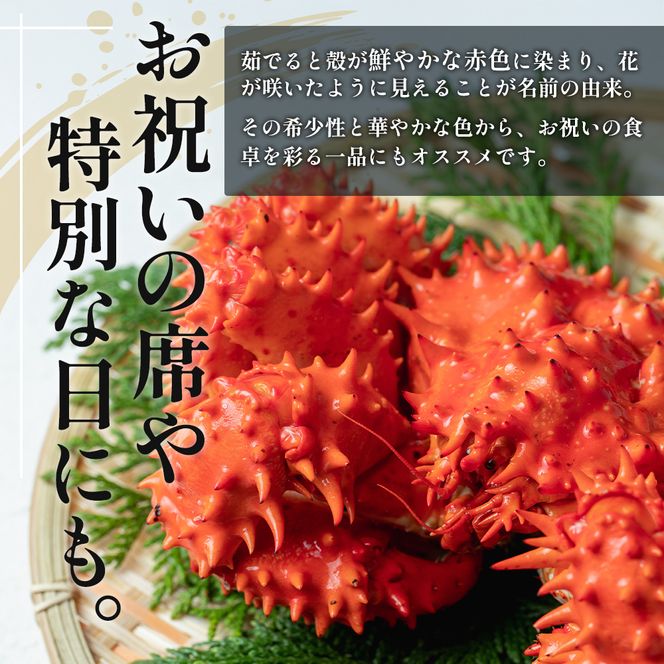 北海道厚岸産 訳あり 冷凍ボイル 花咲がに 1.5kg前後 (3尾～5尾入) 蟹 花咲ガニ 魚介類 魚介 