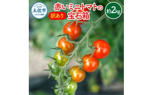 【訳あり】【先行予約】訳あり 赤いミニトマトの宝石箱 約2キロ 約2kg〈2026年11月下旬～2027年5月下旬まで〉 トマト とまと ミックス 詰め合わせ セット 野菜 料理 サラダ マリネ パスタ 浅漬け おやつ 弁当 甘味 酸味 新鮮 高知県 土佐市【ファーム輝】 [BQBM010]