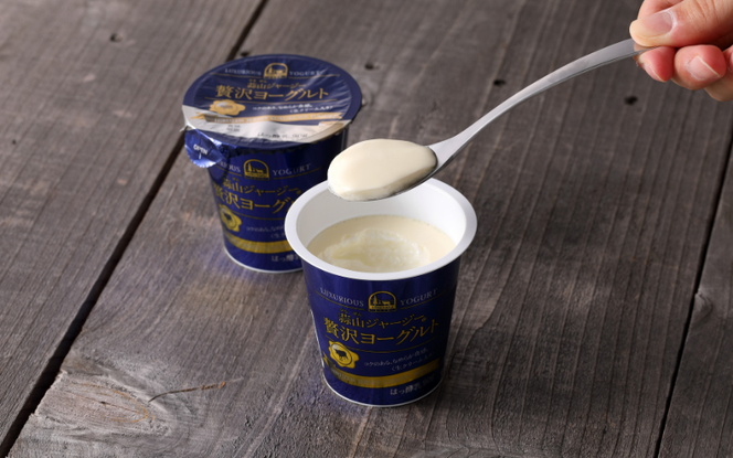 【3カ月定期便】蒜山ジャージーヨーグルトとチーズ・バターの詰め合わせ 食べ比べ ひるぜん 蒜山酪農 真庭 岡山 ジャージー ギフト 冷蔵 【hiru-tkb029】