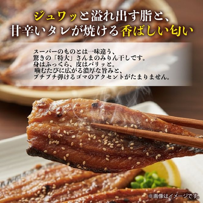 超特大さんまみりん干し 6枚 小分け 秋刀魚 さんまみりん干し 干物 ひもの ヒモノ 魚 魚介 海産物 加工品 惣菜 そうざい お惣菜 保存 保存食 防災 非常 非常食 簡単 お手軽 ごはん 夕飯 おかず 大船渡 三陸 岩手県 国産