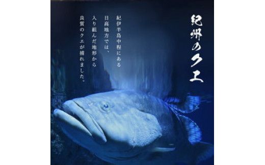 R1002_天然 クエ鍋 500g くえ鍋セット 幻の魚 魚 くえ鍋専門店 鍋用 上品 安定の品質 和歌山 湯浅町 