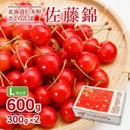 2027年発送 北海道 仁木町産 さくらんぼ 佐藤錦 300g×2P Lサイズ   サクランボ チェリー フルーツ 果物 果物類 仁木町 仁木 [林果樹園]
