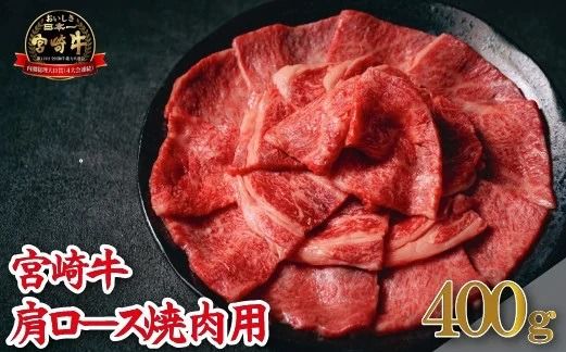 y{茧юszyA4ȏz{苍[Xēp 400gi јa {苍 [X Ԑg ~ ē BBQj