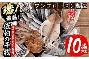 職人おまかせ干物セット (合計10品以上) 干物 あじ 鯵 さば 鯖 丸干し みりん干し 開き 魚 海鮮 冷凍 詰め合わせ セット 大分県 佐伯市【CL63】【(有)ヤマク海産】