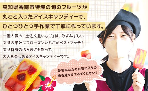 アイス 【12回定期便】手作りアイスキャンデー ６本セット Wys-0027
