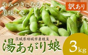 【先行予約・訳あり】 茨城県結城市産枝豆「湯あがり娘」3kg（茶豆味）　有限会社大嶋農園 《7月中旬-8月上旬頃出荷》 野菜 国産 甘み 香り 濃厚 つまみ ビールのおつまみ ビールのつまみ【配送不可地域あり】---yuki_osm_7_3kg---