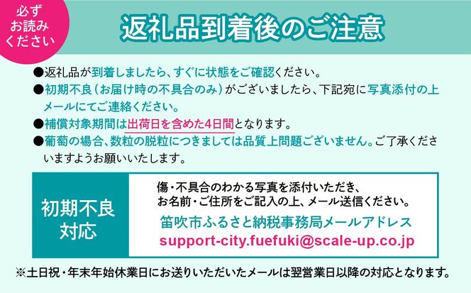 【2026年発送★先行予約】笛吹市産こだわりの桃 約2.0kg(4～9玉) 常温 090-010-26y