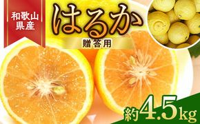 【先行予約】和歌山県産 はるかみかん 約4.5kg（サイズ混合・秀品）