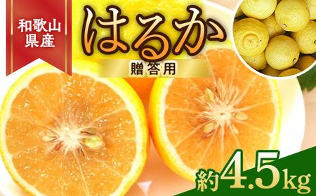 【先行予約】和歌山県産 はるかみかん 約4.5kg（サイズ混合・秀品）