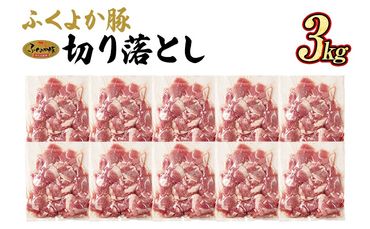 豚肉 ふくよか豚 切り落とし ふくよか豚切り落とし 3.0kg（300g×10パック） モモ ウデ モモ肉 ウデ肉 小分け 真空パック ブタ肉 ぶた肉 生姜焼き 焼きそば 豚汁 冷凍 福岡県 福岡 九州 グルメ お取り寄せ