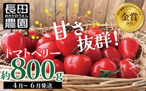 【2026年度予約分】【お試し】幻のミニトマト🍅トマトベリー約800g 長田農園 野菜ソムリエサミット 金賞 受賞 産地直送 トマト とまと 野菜 やさい フルーツ サラダ 濃厚 甘い ご褒美 プレゼント 美容 健康 リピート多数 人気 高評価 先行受付 数量限定 碧南市 H004-114