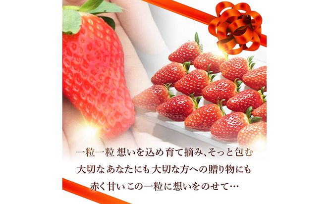 【限定100個】先行予約　京丹後産いちご堅しろう　400g以上（9～12粒）　いちご、イチゴ、けんしろう、堅しろう、京丹後、丹後、フルーツ、美食　BF00032