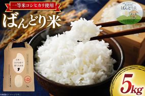 【期間限定発送】 米 令和7年 ばんどり米 コシヒカリ 精米 5kg [農事組合法人東和 富山県 舟橋村 57050201] お米 白米 美味しい こしひかり 富山 農家