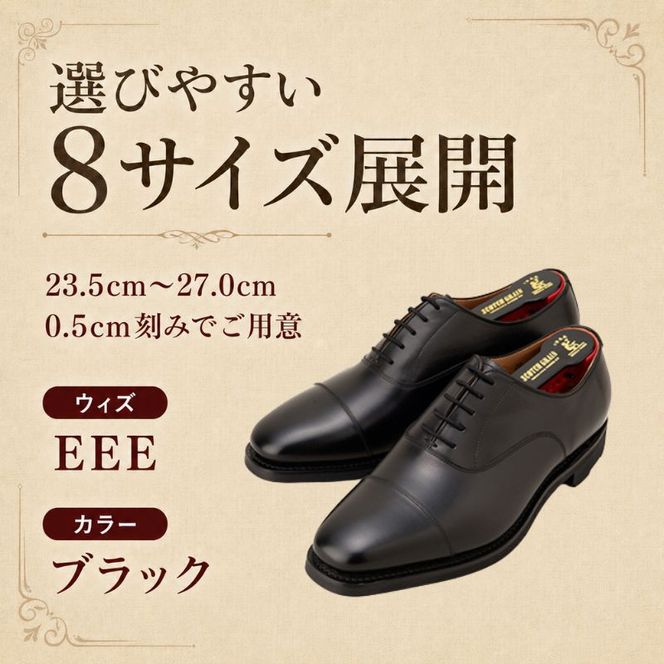 スコッチグレイン ビジネスシューズ メンズ シャインオアレインIII 2726 ストレートチップ 革靴 本革 日本製 EEE 送料無料 ギフト