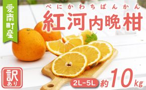 訳あり 紅 河内晩柑 大玉 （ 2L - 5L ） 10kg 7000円 みかん かわちばんかん 愛南ゴールド あいなん ゴールド 美生柑 文旦 グレープフルーツ 和製 幻 の 紅河内晩柑 紅晩柑 希少 家庭用 産地直送 国産 農家直送 糖度 果樹園 期間限定 数量限定 特産品 ゼリー ジュース 果汁 人気 限定 さわやか 甘い フルーツ 果物 柑橘 蜜柑 規格外 愛媛県 愛南町 あいなんマザーズ