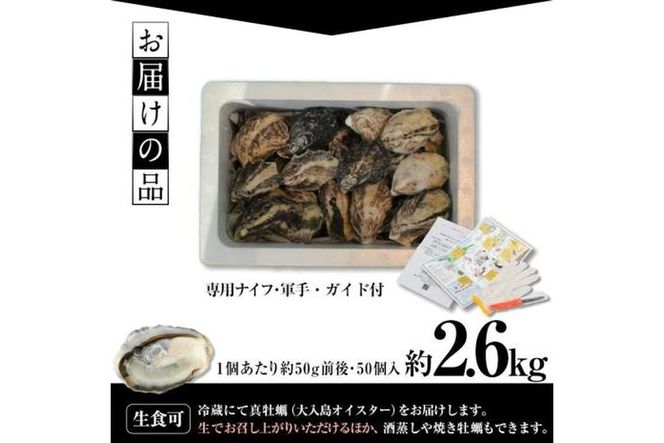 真ガキ 大入島オイスター (約2.6kg) 牡蠣 かき カキ 貝 海鮮 魚介類 冷蔵 生食可 シングルシード 養殖 大分県 佐伯市【ED09】【(合)新栄丸】