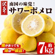 ＜先行予約受付中！2027年2月下旬以降順次発送予定＞＜訳あり・傷あり＞数量限定！サワーポメロ(約7kg) 国産 フルーツ 果物 柑橘類 サワーポメロ 甘味 酸味 デザート おやつ 訳あり【なかむら果樹園】akn014-01