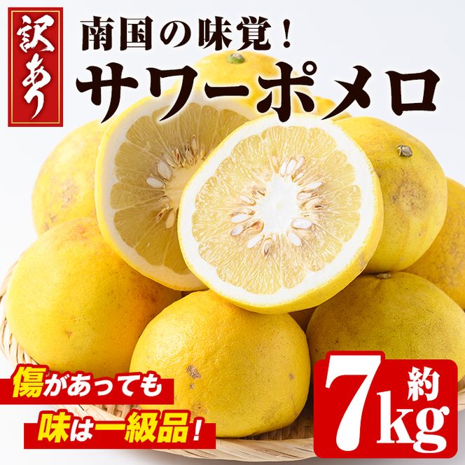 ＜先行予約受付中！2027年2月下旬以降順次発送予定＞＜訳あり・傷あり＞数量限定！サワーポメロ(約7kg) 国産 フルーツ 果物 柑橘類 サワーポメロ 甘味 酸味 デザート おやつ 訳あり【なかむら果樹園】akn014-01