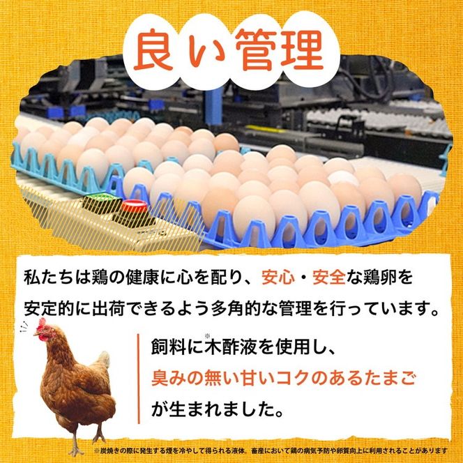新鮮 卵 京都・丹波 霧の卵 30個（25個+卵割れ保証5個）生卵 たまご 鶏卵 小分け 贈答 ギフト◇ ※北海道・沖縄・離島への配送不可