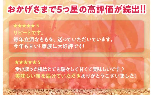 透過式光センサーあかつき桃 特秀5kg相当 15玉～18玉＜ ふくしま未来農業協同組合 ＞ | ふくしま 桃 福島 もも 国見 モモ ※2026年7月中旬～8月上旬頃に順次発送予定 ※沖縄・離島への配送不可