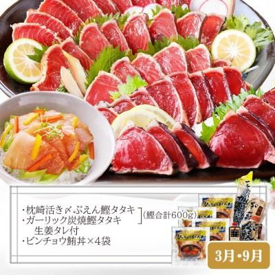 定期便(半年で3回)さつま揚げ&鮮度抜群な一本釣りかつお・まぐろ LL-6007 【1462810】
