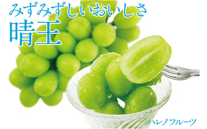 ぶどう2026年 先行予約 シャイン マスカット 晴王 2房（合計約1.1kg） 晴れの国 おかやま 岡山県産 フルーツ王国 果物王国 産地直送 [№5735-1306]