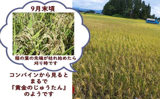 ＜令和8年産予約受付＞【6ヶ月定期便】 銀河のしずく 厳選プレミアム（減農薬・減化学肥料）10kg 【2019】